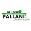 Logo Gruppo Fallani Srl