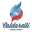 Logo Diagnostica Biomedica Caldarelli Srl