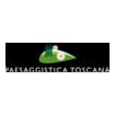 Logo Paesaggistica Toscana Srl