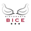 Logo Albergo Bice Srl