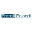 Logo Fratelli Pelandi Srl