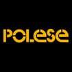 Logo Impresa Polese Srl