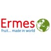 Logo Ermes S.a.s. Di Giacomo Suglia & Fratelli