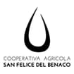 Logo Cooperativa Agricola Di San Felice Del Benaco Società Agricola Cooperativa