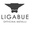 Logo Ligabue Srl
