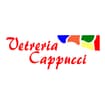 Logo Vetreria Cappucci Di Carlevaro Fabrizio & C. - Società In Accomandita Semplice