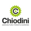 Logo Chiodini Di Stefano Girasole & C. S.a.s.
