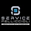 Logo Sound Service Di Pelliccioli Angelo Srl