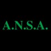 Logo A.n.s.a. Srl