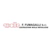 Logo F. Fumagalli Srl