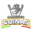 Logo Coinas Srl