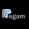 Logo Pegam Srl