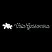 Logo Villani Gelsomina & C. Società In Nome Collettivo