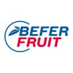 Logo Befer*Fruit -Srl
