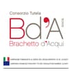 Logo Consorzio Tutela Vini D'acqui