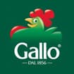 Logo Riso Gallo Spa