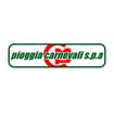 Logo Pioggia Carnevali Spa
