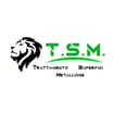 Logo T.s.m. S.n.c. Di Righi Claudio E Orsina Natali' Stefania