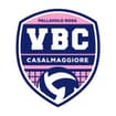 Logo Volleyball Casalmaggiore Società Sportiva Dilettantistica A Responsabilita' Limitata