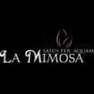 Logo La Mimosa Di Maso Adriana E C. Snc