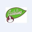 Logo Fratelli Castellino Srl