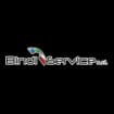 Logo Bindi Service Srl