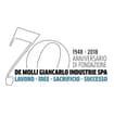 Logo "De Molli Giancarlo Industrie Spa"