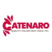 Logo "Catenaro Italo Srl"