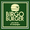 Logo Birgo Srl