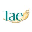 Logo Tecnoardeaengineering Srl Con Acronimo Abbreviato " T.a.e. Srl"