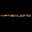 Logo Artesuono Di Francini Gianni S.a.s.