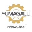 Logo Fumagalli Ingranaggi Srl