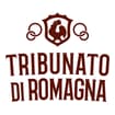Logo "Centro Universitario Di Bertinoro" In Breve "Ce.u.b."