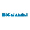 Logo Bignamini Srl