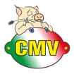 Logo C.m.v. Srl