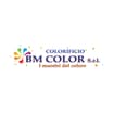 Logo Bm Color Srl