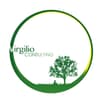 Logo Virgilio Consulting Srl