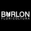 Logo Floricoltura Burlon Di Burlon Enrico