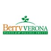 Logo Arena Vivai Società Agricola S.s.
