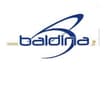Logo Baldina Srl