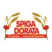 Logo Spiga Dorata Srl