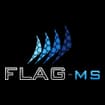 Logo Flexible And Green Mechatronics Solutions Srl