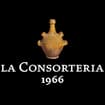 Logo Iole Srl Semplificata