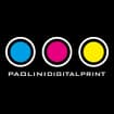 Logo Paolinidigitalprint S.n.c. Di Paolini Sergio & C.