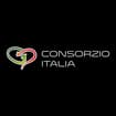 Logo Consorzio Italia Srl