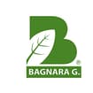Logo Bagnara G. Srl O In Forma Abbreviata Bagnara G. Srl
