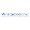 Logo Veneta Group Srl