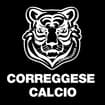 Logo Società Sportiva Dilettantistica Correggese Calcio 1948 A Respon Sabilita' Limitata, In Breve "Correggese Calcio 1948 S.s.d. A R.l."