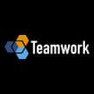 Logo Teamwork Srl