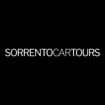 Logo Sorrento Car Tours Di Ruocco Roberto